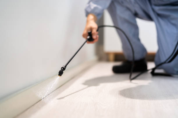Rodent Entry Point Assessment in Rising Sun