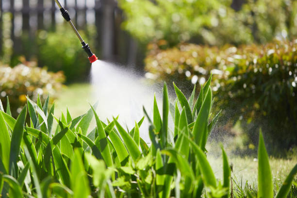 Tamper-Resistant Bait Stations for Rodents in Rising Sun