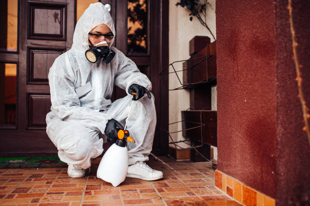Attic and Crawl Space Rodent Treatment in Rising Sun