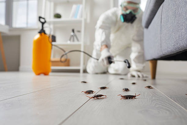 Commercial Rodent Management in Rising Sun